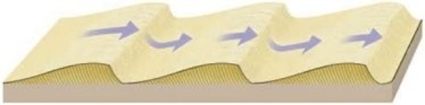 Note the diagram below, which depicts a dune setting   Based on the diagram, which of the following statements is true? A)  The right side of the dune has a gentler slope. B)  The wind direction will likely always remain the same. C)  Sand is moved up the left side of the dune and slips down the right side. D)  The leeward side is the left side of each dune. 