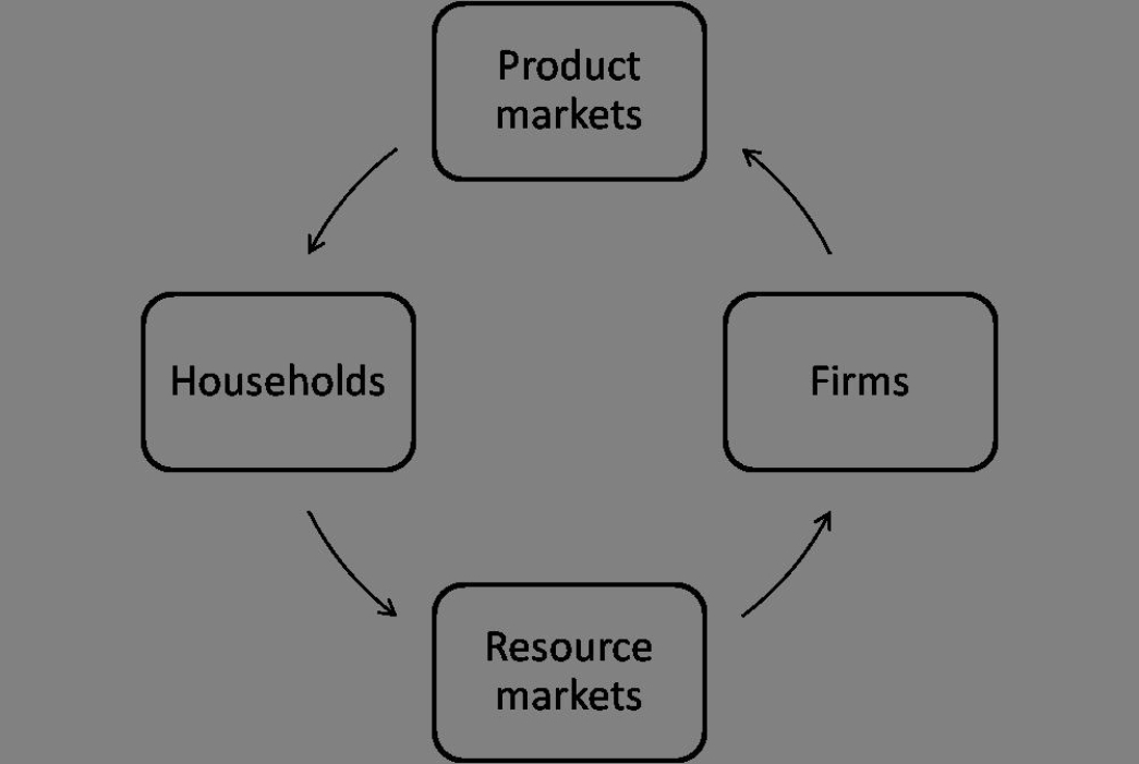 Exhibit 1.2    -Refer to the circular-flow model in Exhibit 1.2.Households supply ________ to firms through resource markets. A) goods and services B) products C) labor, capital, natural resources, and entrepreneurial ability D) resources E) wages, interest, rent, and profit