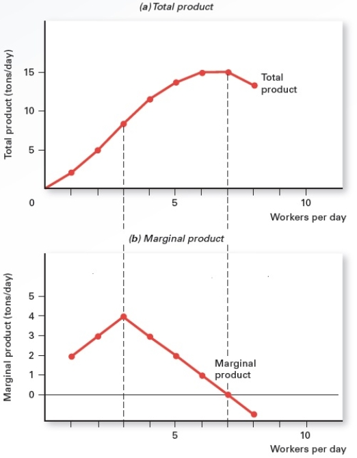 Exhibit 7.1    -Refer to Exhibit 7.1,which shows the total product and marginal product produced by a firm.At seven workers,_____ A) marginal product is rising and total product increases by increasing amounts. B) marginal product is falling but still positive, and total product increases by decreasing amounts. C) marginal product equals zero and total product is at a maximum. D) marginal product is negative and total product is falling. E) marginal product is negative and total product is rising.