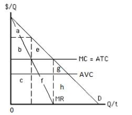 Exhibit 9.15    -Refer to Exhibit 9.15 which shows the cost and revenue curves faced by a monopolist.The area _____ represents monopoly profit with perfect price discrimination. A) f B) c C) a + b + e D) g E) h + a