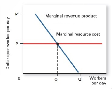 Table 11.10    -Refer to Table 11.10.The resource's marginal revenue product equals its marginal resource cost at _____ A) less than Q. B) more than Q'. C) between P and Q'. D) Q. E) Q'.