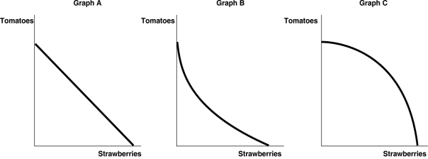 Figure 2-3   -Refer to Figure 2-3.Carlos Vanya grows tomatoes and strawberries on his land.A portion of his land is more suitable for growing tomatoes and the other portion is better suited for strawberry cultivation.Which of the graphs in Figure 2-3 represent his production possibilities frontier? A) Graph A B) Graph B C) Graph C D) either Graph A or Graph B E) either Graph B or Graph C