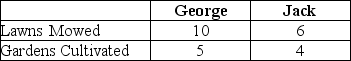 Table 2-4    Table 2-4 shows the output per day of two gardeners,George and Jack.They can either devote their time to mowing lawns or cultivating gardens. -Refer to Table 2-4.Which of the following statements is true? A) Jack has an absolute advantage in both tasks. B) George has an absolute advantage in both tasks. C) Jack has an absolute advantage in lawn mowing and George in garden cultivating. D) Jack has an absolute advantage in garden cultivating and George in lawn mowing.