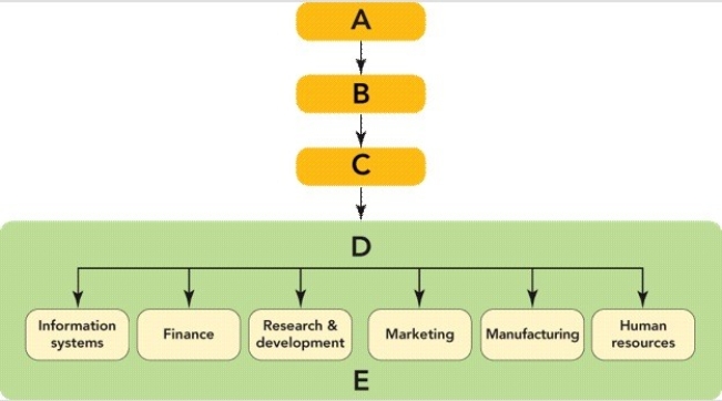 Figure 2-1    -In Figure 2-1 above,D represents the ________ of an organization that is comprised of individual departments. A) strategic business unit level B) board of directors C) corporate level D) functional level E) CMO
