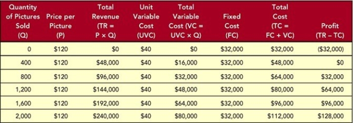 Figure 13-5    -The owner of a picture frame store has generated a spreadsheet of several calculations based on different quantity,price,revenue,cost,and profit scenarios shown in Figure 13-5 above.Of the following options,at what sales level is profit maximized? A) 0 B) 400 C) 800 D) 1,200 E) 2,000