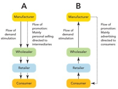 Figure 17-5    -Channel A in Figure 17-5 above represents which type of promotional channel strategy? A) direct B) indirect C) push D) pull E) vertical