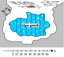 Suppose the presence of phosphates in certain waste products dumped into a lake promotes the growth of algae. Rampant growth of algae affects the oxygen supply in the water, so an environmental group wishes to estimate the area of algae growth. The group measures the length across the algae growth (see the figure)  and obtains the following data (in feet) .   ​ Use 8 rectangles with bases of 10 feet and lengths measured at the left-hand endpoints to approximate the area of the algae growth.   ​ ​ A) 1,730 sq ft B) 1,704 sq ft C) 2,076 sq ft D) 2,520 sq ft E) 2,556 sq ft