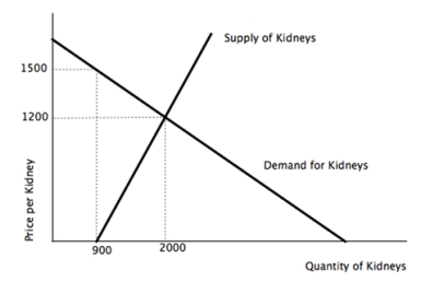Consider the hypothetical supply and demand of Kidneys.   Initially,kidneys are exchanged by donations only (price=0) .If the government decides to legalize kidney sales and the market reaches equilibrium,then: A)  total surplus increases. B)  consumer surplus remains the same. C)  producer surplus remains the same. D)  a shortage of kidneys will arise.