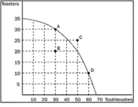 Figure 2-4    -Refer to Figure 2-4. What is the opportunity cost in terms of toothbrushes of getting 10 additional toasters by moving from point B to point A? A)  0 toothbrushes B)  5 toothbrushes C)  10 toothbrushes D)  15 toothbrushes