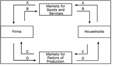 Figure 2-1    -Refer to Figure 2-1.Which arrow shows the flow of spending by households A) arrow A B) arrow B C) arrow C D) arrow D