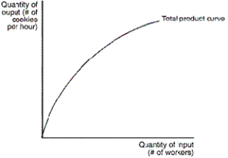 Figure 13-1 The figure depicts a production function for a firm that produces cookies.    -Refer to Figure 13-1.As the number of workers increases,what happens to the firm's production A) total output increases, but at a decreasing rate B) marginal product increases, but at a decreasing rate C) marginal product increases at an increasing rate D) total output increases, at an increasing rate