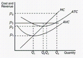 Figure 14-1    -Refer to Figure 14-1.When price is equal to P₃,at what level of output will the profit-maximizing firm produce A) Q₁ B) Q₂ C) Q₃ D) Q₄