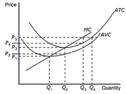 Figure 14-5    -Refer to Figure 14-5.When market price is P₁,which area represents a profit-maximizing firm's losses A) (P₂ - P₁)  × Q₂ B) (P₃ - P₁)  × Q₂ C) (P₂ - P₁)  × Q₁ D) (P4 - P₁)  × Q₁