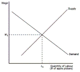 Figure 18-2    -Refer to Figure 18-2.What happens to the profit earned by apple producers and the wage earned by apple pickers when the price of apples falls A) Both profit and the wage will fall. B) Both profit and the wage will rise. C) Profit will rise, and the wage will fall. D) Profit will fall, and the wage will rise.