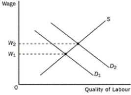 Figure 18-4    -Refer to Figure 18-4.Which factor could possibly explain the shift of the labour demand curve from D₁ to D₂ A) a change in workers' attitudes toward the work-leisure tradeoff B) decreases in wages in other labour markets C) an increase in the price of firms' output D) new technology that replaces workers