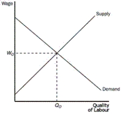 Figure 20-1    -Refer to Figure 20-1.Supporters of minimum-wage legislation would suggest that an effective minimum wage would be set at which level,and with what effect A) Minimum wage would be above Wo, and employment would rise above Q₀ . B) Minimum wage would be above Wo, and employment would fall below Q₀ . C) Minimum wage would be below Wo, and employment would rise above Q₀ . D) Minimum wage would be below Wo, and employment would fall below Q₀ .