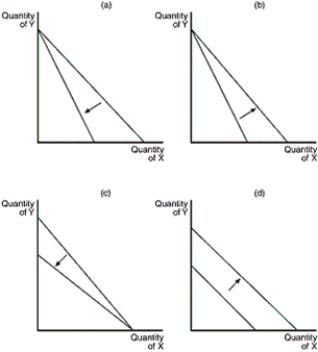 Figure 21-2    -Refer to Figure 21-2.Which of the graphs in the figure reflects an increase in the price of good Y only A) graph (a)  B) graph (b)  C) graph (c)  D) graph (d) 