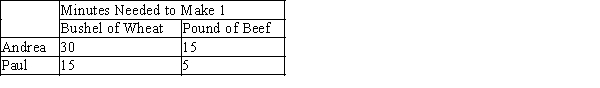 Table 3-4 Assume that Andrea and Paul can switch between producing wheat and producing beef at a constant rate.   -Refer to Table 3-4. Which of the following combinations of wheat and beef could Paul not produce in one 8-hour day? A) 13 bushels of wheat and 60 pounds of beef B) 20 bushels of wheat and 30 pounds of beef C) 20 bushels of wheat and 20 pounds of beef D) 25 bushels of wheat and 15 pounds of beef