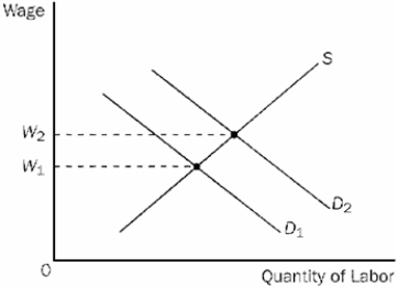 Figure 18-10   -Refer to Figure 18-10. If the relevant labor demand curve is D<sub>2</sub> and the current wage is W<sub>1</sub>, A) there is a surplus of labor. B) there is a shortage of labor. C) the quantity of labor supplied exceeds the quantity of labor demanded. D) workers are failing to take into account the work-leisure tradeoff in deciding what quantity of labor to supply at alternative wages.