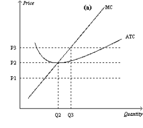 Figure 14-14     -Refer to Figure 14-14. Assume that the market starts in equilibrium at point W in panel (b)  and that panel (a)  illustrates the cost curves facing individual firms. Suppose that demand increases from D0 to D1. Which of the following statements is correct? A) Points W, Y, and Z represent both short-run and long-run equilibria. B) Points W, Y, Z, and X represent short-run equilibria. C) Points W, Y, and Z represent long-run equilibria. D) Points W and Z represent long-run equilibria.