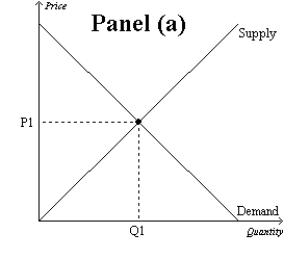 Figure 10-9       -Refer to Figure 10-9. The overuse of antibiotics leads to the development of antibiotic-resistant diseases. Therefore, the market for antibiotics is shown in A) Panel (a) . B) Panel (b) . C) Panel (c) . D) Both (b)  and (c)  are correct.