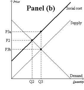 Figure 10-9       -Refer to Figure 10-9. The overuse of antibiotics leads to the development of antibiotic-resistant diseases. Therefore, the market for antibiotics is shown in A) Panel (a) . B) Panel (b) . C) Panel (c) . D) Both (b)  and (c)  are correct.