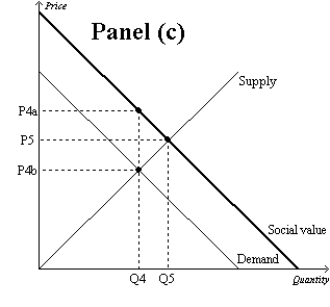 Figure 10-9       -Refer to Figure 10-9. The overuse of antibiotics leads to the development of antibiotic-resistant diseases. Therefore, the market for antibiotics is shown in A) Panel (a) . B) Panel (b) . C) Panel (c) . D) Both (b)  and (c)  are correct.
