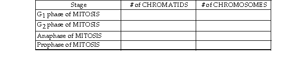 For the question below, suppose that the somatic cells of humanoid X contain a total of 4 chromosomes [2N = 4] (or 2 pairs of chromosomes, [N = 2]). How many chromatids and chromosomes are present at the following stage mitosis? Answers should be filled in for the blank spaces in the table below.  
