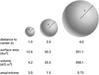 If the radius of one cell were twice as large as the radius of another cell, how much higher or lower would its surface- area- to- volume ratio be?   A)  2 times lower B)  2 times higher C)  1/2 lower D)  10 times higher