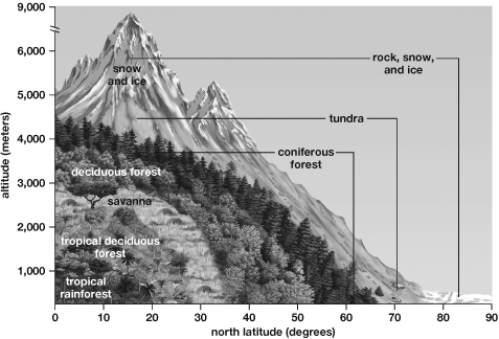   -In an attempt to stop desertification, some groups have changed the way they work with the land. They plant trees to stop erosion, build small barriers to slow water runoff on slopes, and bring food to their animals rather than letting them graze freely. Why would these techniques help stop desertification? A)  The trees increase evaporation. B)  People move out of the areas rather than follow these techniques, lessening the water demand. C)  Trees, runoff diversion, and changes in grazing patterns all conserve water. D)  They increase the amount of water used in the area. E)  They break up the cyanobacteria in the soil.