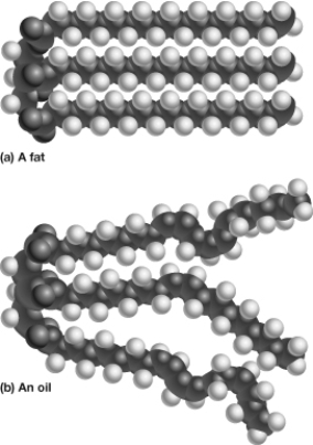 As shown in this figure, the top triglyceride (a)  has , whereas the bottom triglyceride (b)  has _.   A)  no double bonds and is saturated; double and/or triple bonds and is unsaturated B)  double bonds and is saturated; no double and/or triple bonds and is unsaturated C)  no double bonds and is unsaturated; double and/or triple bonds and is saturated D)  double bonds and is unsaturated; no double and/or triple bonds and is saturated