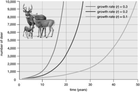   -Which population represented on the graph has the highest biotic potential? A)  The population represented by the middle curve has the highest biotic potential. B)  The population represented by the curve on the left has the highest biotic potential. C)  The population represented by the curve on the right has the highest biotic potential. D)  All three populations have the same biotic potential.