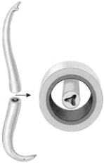 The organism in the illustration has   A)  a true coelom. B)  no coelom. C)  a pseudocoelom.