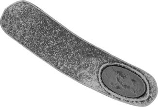 The bacterium in the figure contains a(n)    A)  nucleus. B)  virus. C)  endospore. D)  biofilm. E)  prion.