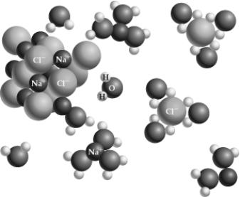 Which of the following is attracted to the hydrogen  end  of a water molecule, as depicted in this figure?   A)  NaCl B)  Na+ C)  H D)  Cl-
