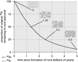   -Scientists find several sets of fossil remains in a cave. The skeletons appear have been buried with stone tools and carved jewelry of ivory and bone. The artifacts are dated to 90,000 years old. The skeletons are anatomically similar to modern humans. Based on this information, the skeletons most likely are all A)  Cro- Magnons. B)  Homo floresiensis. C)  Neanderthals. D)  Homo erectus. E)  Australopithecus afarensis.