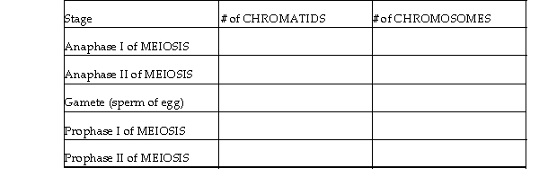 For the question below, suppose that the somatic cells of humanoid X contain a total of 4 chromosomes [2N = 4] (or 2 pairs of chromosomes, [N = 2]). How many chromatids and chromosomes are present at the following stages of MEIOSIS? Answers should be filled in for the blank spaces in the table below.  