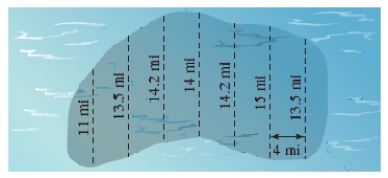 Estimate the surface area of the oil spill shown in the figure using the Midpoint Rule. ​   ​ A)  ≈ 481.6 mi<sup>2</sup> B)  ≈ 301.6 mi<sup>2</sup> C)  ≈ 311.6 mi<sup>2</sup> D)  ≈ 431.6 mi<sup>2</sup> E)  ≈ 381.6 mi<sup>2</sup>