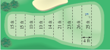 Estimate the surface area of the golf green shown in the figure using the midpoint rule. ​   ​ A)  636 B)  159 C)  1431 D)  1561 E)  644