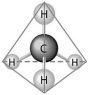  -What causes the shape of the molecule shown above? A)the configuration of the 2 p orbitals in the carbon atom B)the configuration of the 1 s orbital in the carbon atom C)the configuration of the sp hybrid orbitals of the electrons shared between the carbon and hydrogen atoms D)the packing of the carbon and hydrogen atoms in a crystal lattice E)hydrogen bonding configurations between the carbon and hydrogen atoms