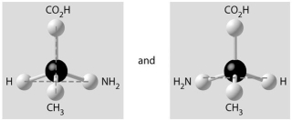 Which of the pairs of molecular structures shown below do not depict enantiomers (enantiomeric forms) of the same molecule? A)    B)    C)    D)    E)   