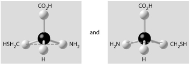 Which of the pairs of molecular structures shown below do not depict enantiomers (enantiomeric forms) of the same molecule? A)    B)    C)    D)    E)   