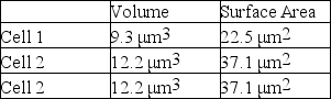 Both the volume and the surface area for three different cells were measured.These values are listed in the following table:   Using data from the table above,select the cell and best explanation for why that cell will be able to eliminate waste most efficiently? A) Cell 1, since it has the smallest volume, and it will not produce as much waste as the other cells. B) Cell 2, since it has the highest surface area-to-volume ratio, which facilitates the exchange of materials between a cell and its environment. C) Cell 3, since it has the largest surface area, which will enable it to eliminate all of its wastes quickly. D) Cell 3 because it is big enough to allow wastes to easily diffuse through the plasma membrane. E) Presuming all cells have the same organelles; thus, they will eliminate waste with the same efficiency.