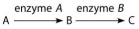The following questions refer to this figure of a simple metabolic pathway:    -If A,B,and C are all required for growth,a strain that is mutant for the gene-encoding enzyme A would be able to grow on which of the following media? A)minimal medium B)minimal medium supplemented with nutrient A only C)minimal medium supplemented with nutrient B only D)minimal medium supplemented with nutrient C only E)minimal medium supplemented with nutrients A and C