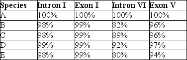 The next questions refer to the following table,which compares the percent sequence homology of four different parts (two introns and two exons) of a gene that is found in five different eukaryotic species.Each part is numbered to indicate its distance from the promoter (e.g.,Intron I is the one closest to the promoter) .The data reported for species A were obtained by comparing DNA from one member of species A to another member of species A. % Sequence Homology    -Which of the following is the best explanation for the high degree of sequence homology observed in Exon I among these five species? A) It is the most-upstream exon of this gene. B) Due to alternative gene splicing, this exon is often treated as an intron. C) It codes for a polypeptide domain that has a crucial function. D) These five species must actually constitute a single species. E) This exon is rich in G-C base pairs; thus, it is more stable.