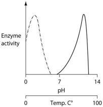 Consider the thermoacidophile,Sulfolobus acidocaldarius.Which of the following graphs most accurately depicts the expected temperature and pH profiles of its enzymes? (Note: The horizontal axes of these graphs are double,with pH above and temperature below.)   A)   B)   C)   D)  