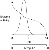 Consider the thermoacidophile,Sulfolobus acidocaldarius.Which of the following graphs most accurately depicts the expected temperature and pH profiles of its enzymes? (Note: The horizontal axes of these graphs are double,with pH above and temperature below.)   A)   B)   C)   D)  
