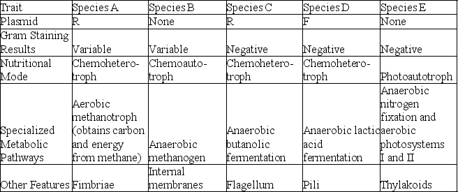 The following table depicts characteristics of five prokaryotic species (A-E).Use the information in the table to answer the following questions.    -Which species should be able to respond most readily to taxes (plural of taxis)? A)species A B)species B C)species C D)species D E)species E