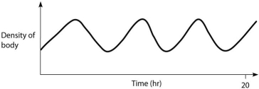 Which graph below best represents the way that density changes over time in a physoclistus fish and in a physostomus fish,respectively?     A)  A and B B)  B and A C)  B and C D)  C and B E)  D and B  