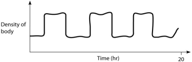 At 5,10,and 15 hours in the graph below,which of the following statements should be true?   A) This fish is in the process of adding gas to its swim bladder. B) This fish is in the process of removing gas from its swim bladder. C) This fish has a swim bladder that is relatively full of gas. D) This fish has a swim bladder that contains relatively little gas.